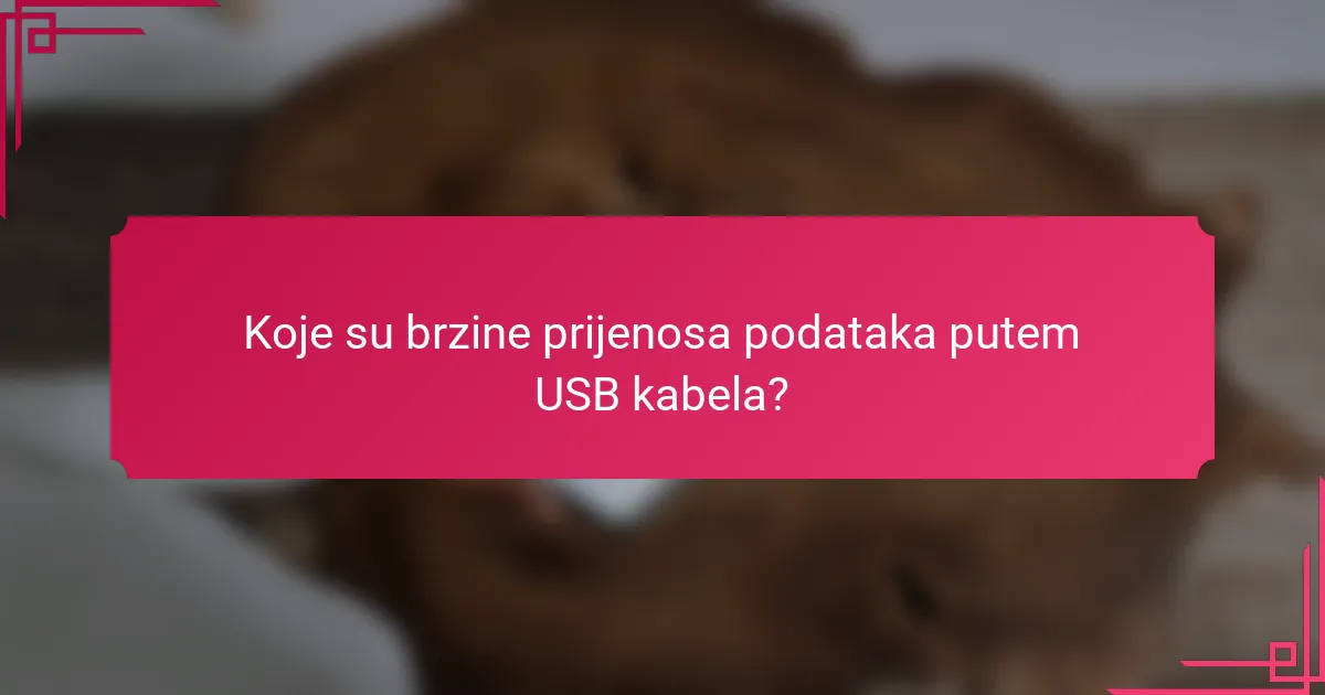 Koje su brzine prijenosa podataka putem USB kabela?