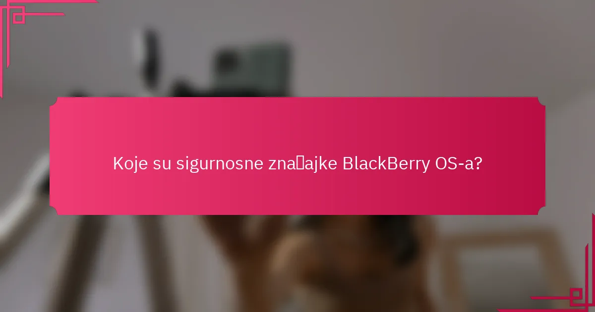 Koje su sigurnosne značajke BlackBerry OS-a?